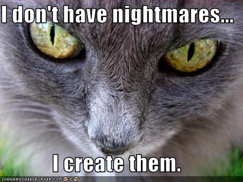 funny-pictures-evil-cat-creates-nightmares.jpg